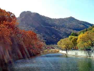 澳门天天彩期期精准平肖，黑山黑帽seo